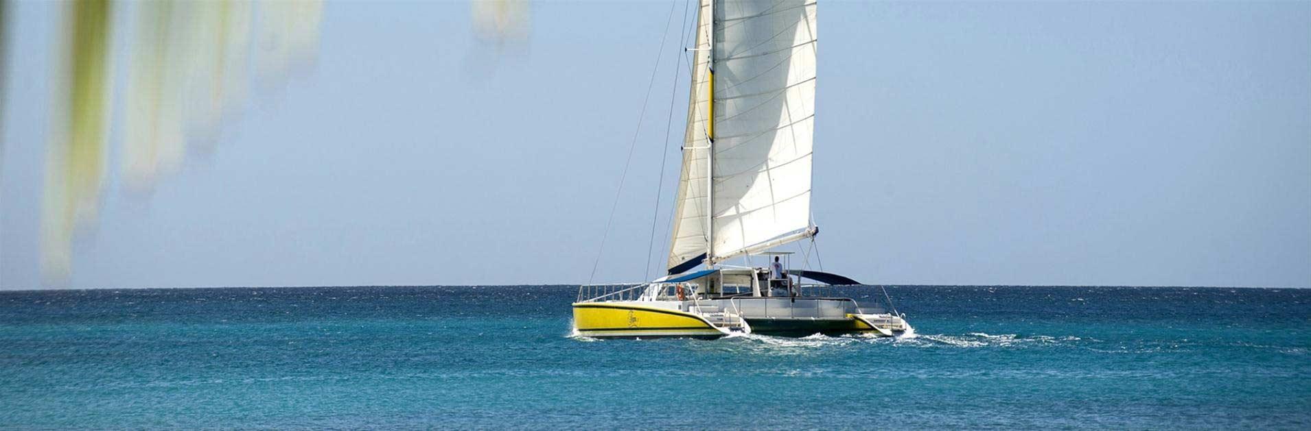 tiami catamaran cruise barbados