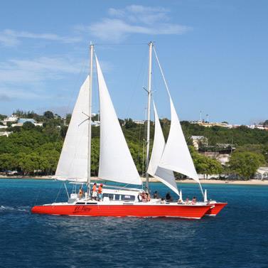 horarios de catamaran en tigre