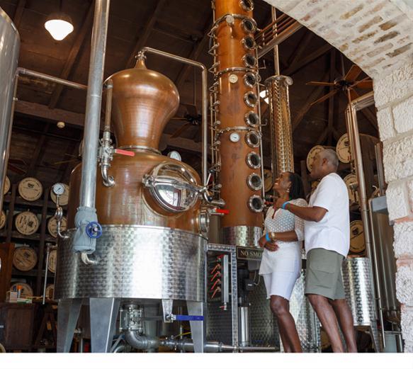 Erfahren Sie die Geschichte des ältesten Rum der Welt