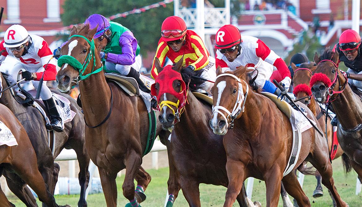 Barbados Horse Racing The Sport of Kings in Paradise