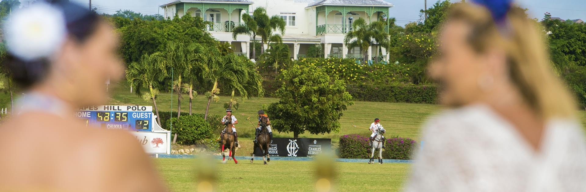 Explore Barbados Polo Season Visit Barbados