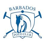 Polo Season 2019 - Apes Hill Polo Club Mixed Ladies Tournament