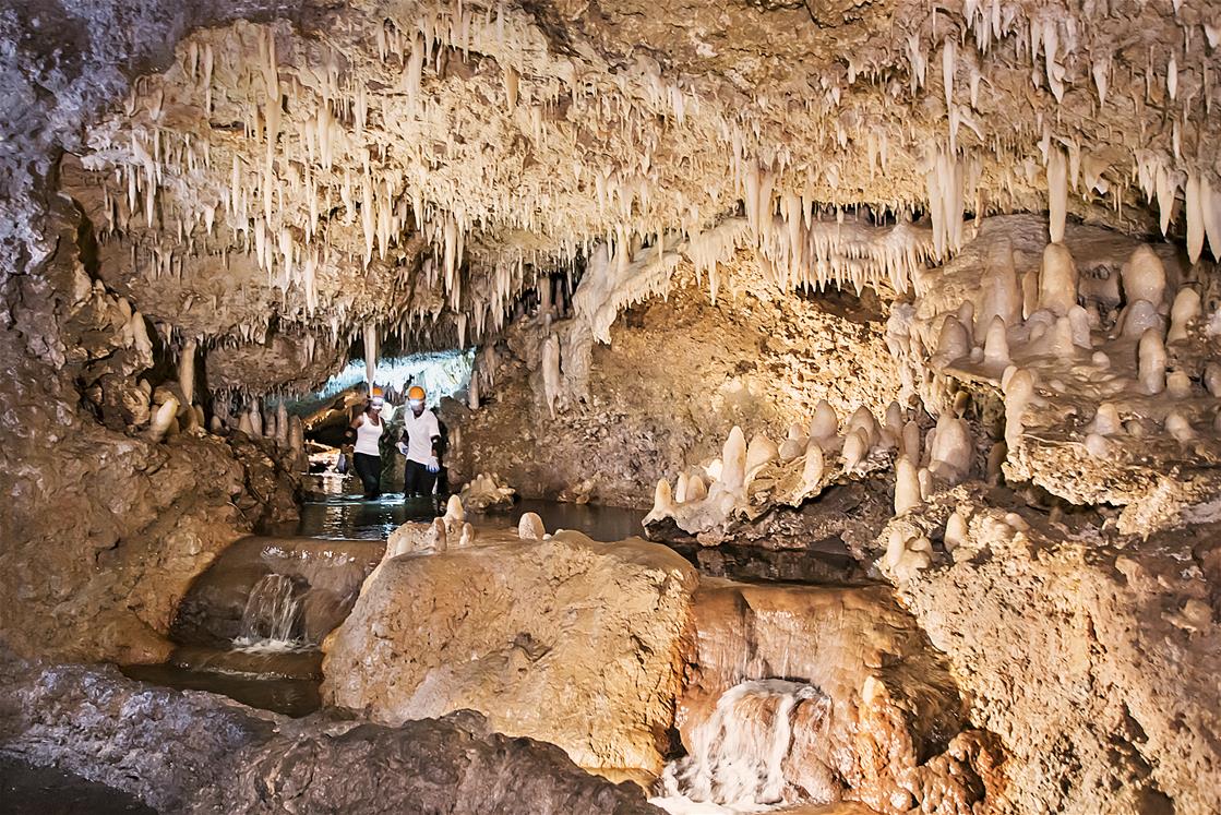 Cave 1. Пещера Харрисона Барбадос. Пещера Харрисона, Аллен Вью, Барбадос..