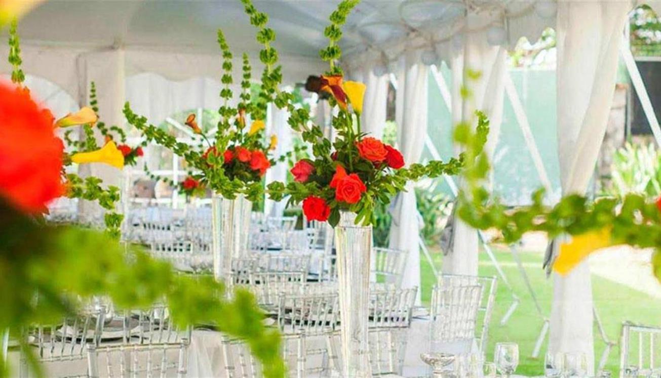 Barbados Wedding Planners Make Caribbean Wedding A Reality