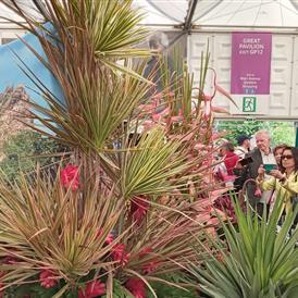Spettacolo di fiori e giardini della Barbados Horticultural Society