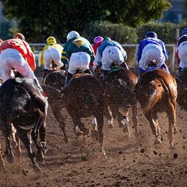 Sandy Lane Barbados Gold Cup